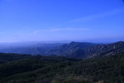 DSC_6152 (Large).JPG